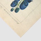 ヴィンテージフローラブルーフラワーズエフェメラデクページティス 薄葉紙 (詳細)