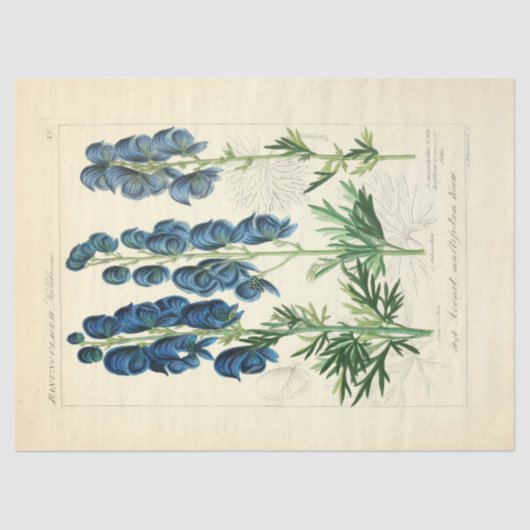 ヴィンテージフローラブルーフラワーズエフェメラデクページティス 薄葉紙 (正面)