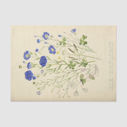 ヴィンテージフローラブルーフラワーズエフェメラデクページ 薄葉紙 (正面)