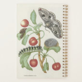 ヴィンテージフローラプランナーと蛾とキャタピラー プランナー手帳 (裏面)