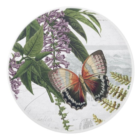 ヴィンテージフローラボタニカルバタフライコテージホワイト1 セラミックノブ (正面)