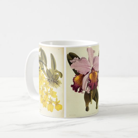 ヴィンテージフローラボタニー熱帯蘭の花 コーヒーマグカップ (正面左)