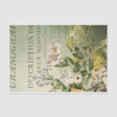 ヴィンテージフローラ切り離しティッシュペーパー 薄葉紙 (正面)