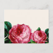 ヴィンテージフローラ切り離しテーブル番号ポストカード ポストカード (裏面)