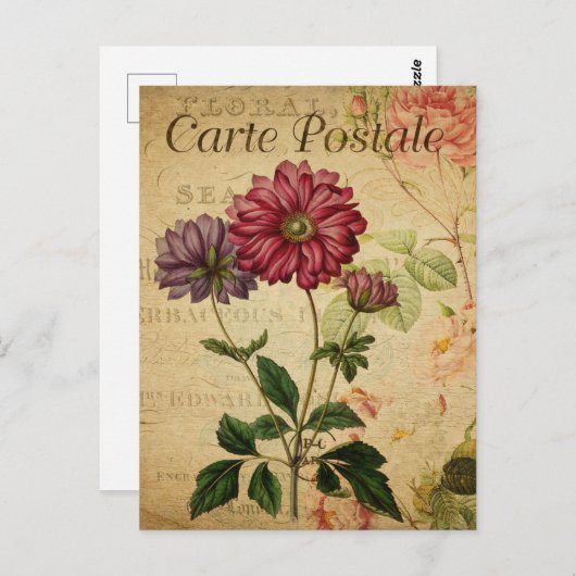 ヴィンテージフローラ花フランスの ポストカード (正面/裏面)