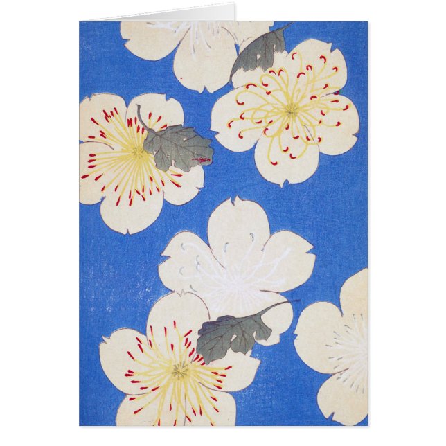 ヴィンテージフローラ芸術 (正面)