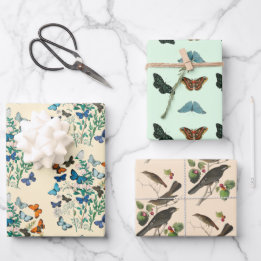 ヴィンテージフローラ蝶の鳥模様ピンクがかった緑 ラッピングペーパーシート