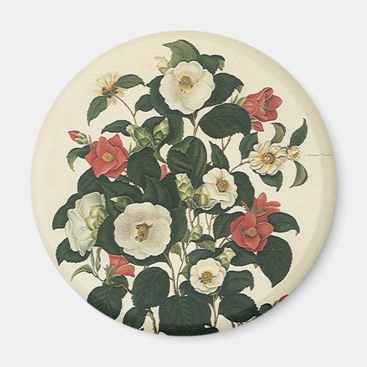 ヴィンテージフローラ、アンティークガーデンバラ花 マグネット (正面)
