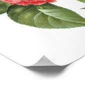 ヴィンテージフローラ、ピンクカメリアフラワーズバイルドゥート ポスター (角)