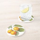 ヴィンテージフードフルーツアプリコットピーチバイルドート コースター (側面)