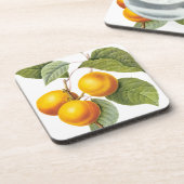 ヴィンテージフードフルーツアプリコットピーチバイルドート コースター (左側)