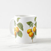 ヴィンテージフードフルーツアプリコットピーチバイルドート コーヒーマグカップ (正面左)