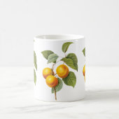 ヴィンテージフードフルーツアプリコットピーチバイルドート コーヒーマグカップ (中央)