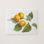 ヴィンテージフードフルーツアプリコットピーチバイルドート ジグソーパズル (横)