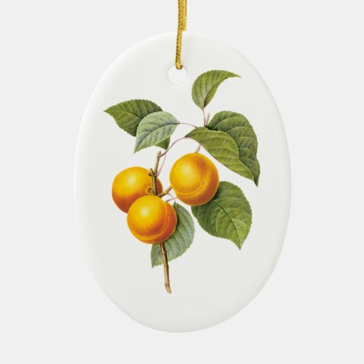 ヴィンテージフードフルーツアプリコットピーチバイルドート セラミックオーナメント (正面)