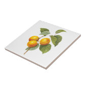 ヴィンテージフードフルーツアプリコットピーチバイルドート タイル (側面)