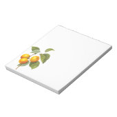 ヴィンテージフードフルーツアプリコットピーチバイルドート ノートパッド (回転)