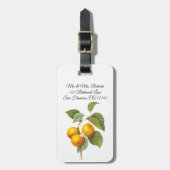 ヴィンテージフードフルーツアプリコットピーチバイルドート ラゲッジタグ (正面縦)