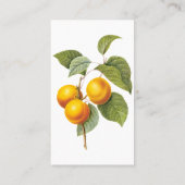 ヴィンテージフードフルーツアプリコットピーチバイルドート 名刺 (裏面)