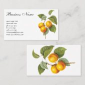 ヴィンテージフードフルーツアプリコットピーチバイルドート 名刺 (正面/裏面)