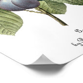 ヴィンテージフードフルーツパープルガーデンプラムズバイルドゥート ポスター (角)