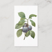 ヴィンテージフードフルーツパープルガーデンプラムズバイルドゥート 名刺 (裏面)