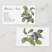 ヴィンテージフードフルーツパープルガーデンプラムズバイルドゥート 名刺 (正面/裏面)