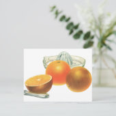 ヴィンテージフードフルーツ熟オレンジ果肉朝食 (スタンド正面)