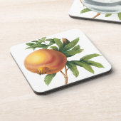 ヴィンテージフードフルーツ、ザクロRedoute コースター (左側)