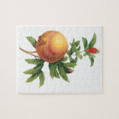 ヴィンテージフードフルーツ、ザクロRedoute ジグソーパズル (横)