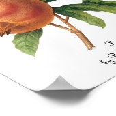 ヴィンテージフードフルーツ、ザクロRedoute ポスター (角)