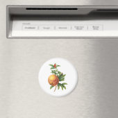 ヴィンテージフードフルーツ、ザクロRedoute マグネット (インサイチュ (食洗機))