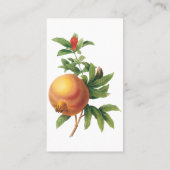 ヴィンテージフードフルーツ、ザクロRedoute 名刺 (裏面)