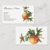 ヴィンテージフードフルーツ、ザクロRedoute 名刺 (正面/裏面)