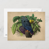 ヴィンテージフールカラフル版木、銅版、版画 ポストカード (正面/裏面)