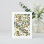 ヴィンテージブックイラストレーショントカゲ ポストカード (スタンド正面)