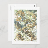 ヴィンテージブックイラストレーショントカゲ ポストカード (正面/裏面)