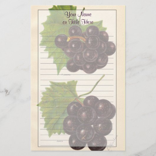 ヴィンテージブドウ文房具 便箋 (正面)