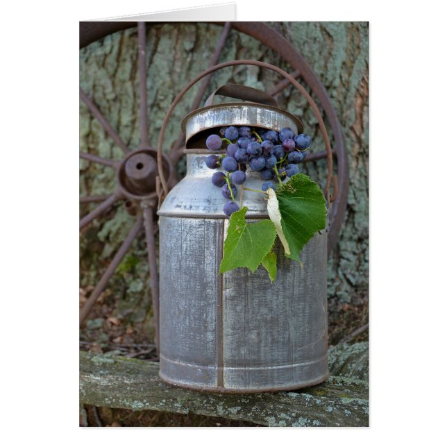 ヴィンテージブドウ (正面)