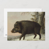 ヴィンテージブラウンイノシシ狩猟絵画、野生動物アート ポストカード (正面/裏面)