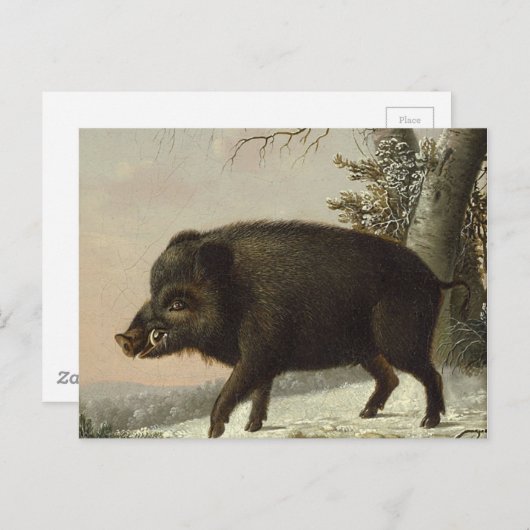 ヴィンテージブラウンイノシシ狩猟絵画、野生動物アート ポストカード (正面/裏面)
