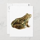 ヴィンテージブラウンカエルイラストレーション ポストカード (正面/裏面)