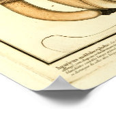 ヴィンテージブラウンマッシュルームフランスのアートプリント ポスター (角)