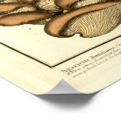 ヴィンテージブラウンマッシュルームフランスのアートプリント ポスター (角)