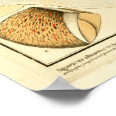 ヴィンテージブラウンマッシュルームフランスのアートプリント ポスター (角)