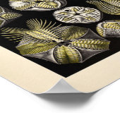 ヴィンテージブラストアイディアカラーエルンストヘッケルアートプリント ポスター (角)