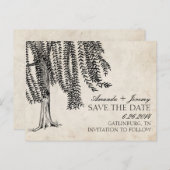 ヴィンテージブラックしだれ柳Save The Date 案内ポストカード (正面/裏面)