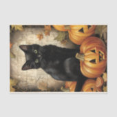 ヴィンテージブラックキャットカボチャの切り離し 薄葉紙 (正面)