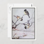 ヴィンテージブラックキャップ《鳥》アメリカゴガラ- R. Bruce Horsfall ポストカード (正面/裏面)