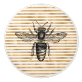 ヴィンテージブラッククイーンビーストライプセラミックノブ セラミックノブ (正面)